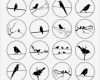 Schrumpffolie Vorlagen Schön Vögel Silhouetten 1313 25mm 30mm 1 15 Von Mobycatgraphics