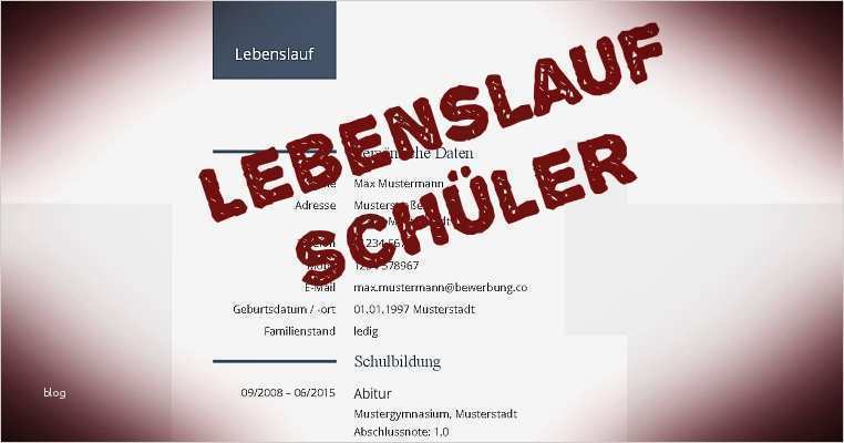 Lebenslauf Schüler Download