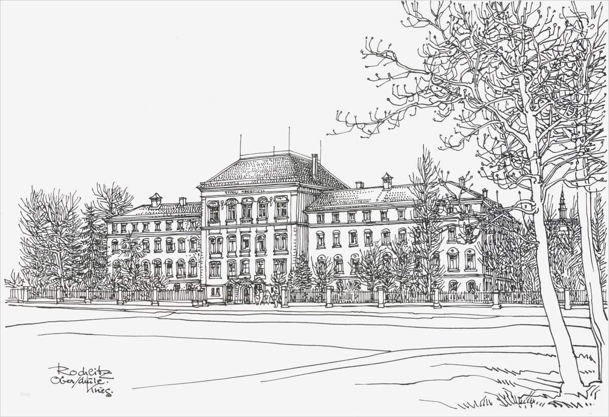 Schulgottesdienste Vorlagen Schön Wunderbar Gymnasium fortsetzen Fotos Entry Level Resume