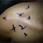 Schulter Tattoos Vorlagen Cool Tattoo Schulter Tattoo Sieben Fliegende Tauben