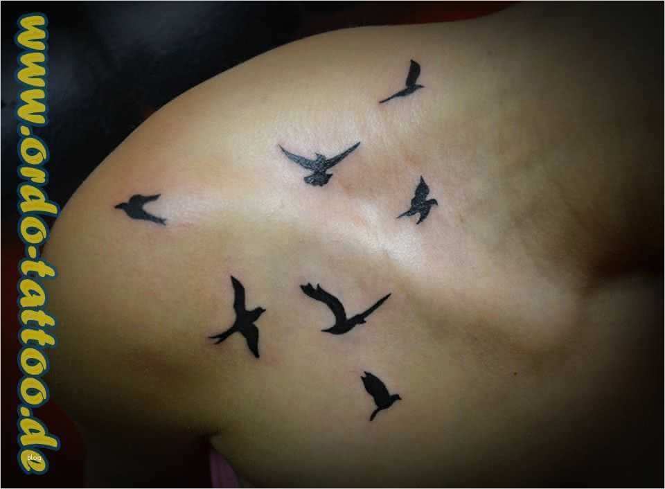 Schulter Tattoos Vorlagen Cool Tattoo Schulter Tattoo Sieben Fliegende Tauben