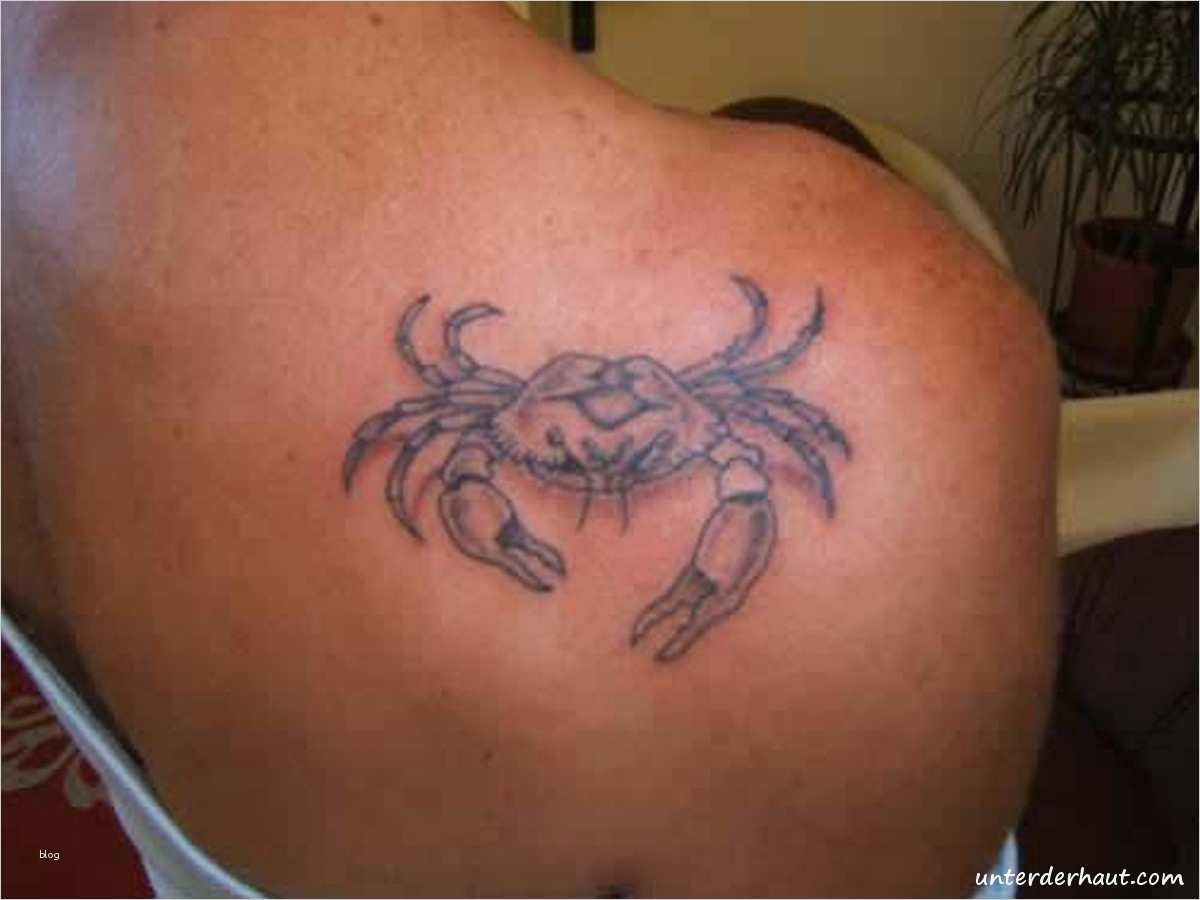 Schulter Tattoos Vorlagen Wunderbar Verschiedene Tattoos Auf Schulter Unter Der Haut Tattoo