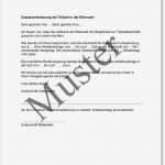 Schweigepflichtentbindung Vorlage Gut Zusatzvereinbarung Bei Teilzeit In Der Elternzeit