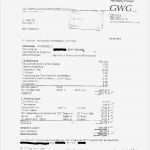 Schweigepflichtentbindung Vorlage Schön Der Vorgeschlagene Betreuerin ist Mit Dem Vorschlag In