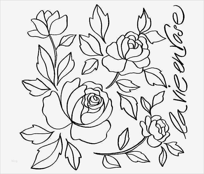 Seidenmalerei Vorlagen Elegant Blumen Motive Und Malvorlagen Kreativtipps