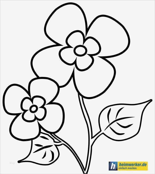 Seidenmalerei Vorlagen Genial Blumen Malvorlagen Kostenlose Ausmalbilder Mit Blumen