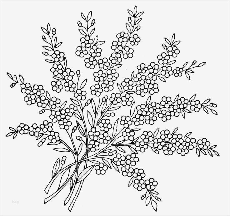 Seidenmalerei Vorlagen Schön 9 Besten Seidenmalerei Vorlagen & Co Bilder Auf Pinterest