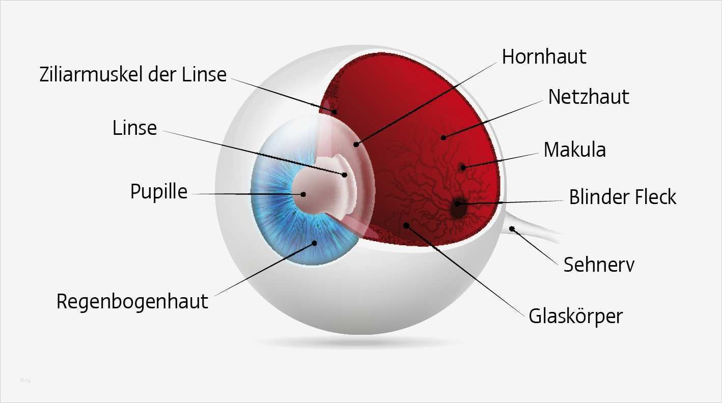 Seite Befindet Sich Im Aufbau Vorlage Hübsch Aufbau Und Funktion Ober Scharrer Gruppe Gmbh