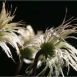 Seite Befindet Sich Im Aufbau Vorlage Wunderbar Diese Seite Befindet Sich Noch Im Aufbau