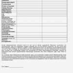 Selbstauskunft Mieter Vorlage Elegant Selbstauskunft Mieter Vorlage Word – Kebut