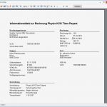 Selbstauskunft Unternehmen Vorlage Schönste Informationsblatt Zur Rechnung Mit Den Wichtigsten Daten