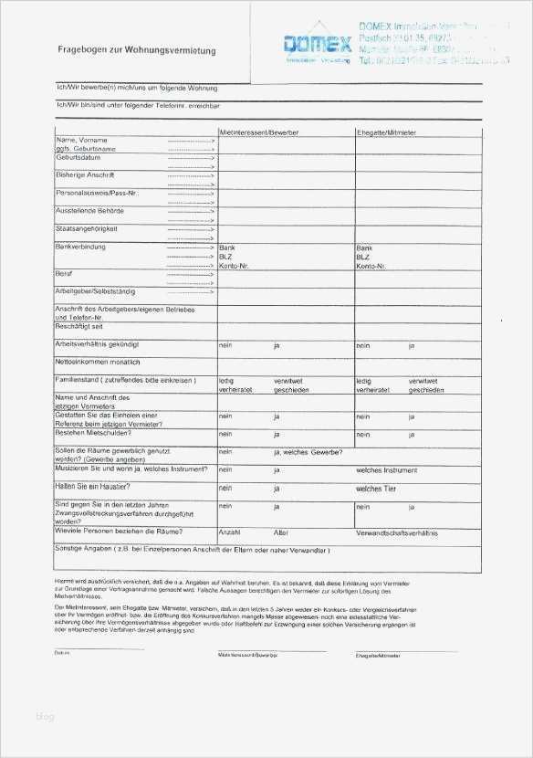 Selbstauskunft Vorlage Erstaunlich 12 Selbstauskunft Mieter Vorlage