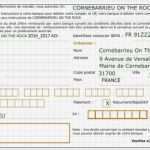 Sepa Mandat Vorlage Best Of Mandat Sepa Cornebarrieu Danse