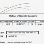 Sepa Mandat Vorlage Hübsch Mandat Sepa