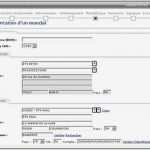 Sepa Mandat Vorlage Luxus Les Mandats Sepa Avec Sage Moyens De Paiement Guezouli
