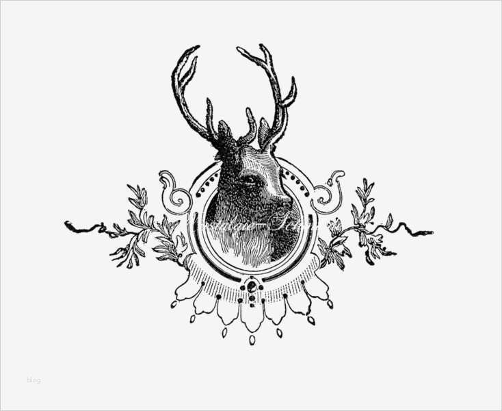 Shabby Schrift Vorlagen Wunderbar Etiketten Aufkleber Vintage Shabby Chic Ein