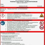 Sicherheitsdatenblatt Vorlage Schönste Betriebsanweisung Holzstaub sofort Download