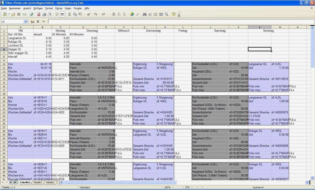 Silbenteppich Vorlage Kostenlos Elegant Wunderbar Trainingsplan Vorlage Excel Galerie Entry