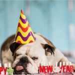 Silvester Einladung Vorlage Elegant Silvester Einladungen Gestalten Sat 1 Ratgeber