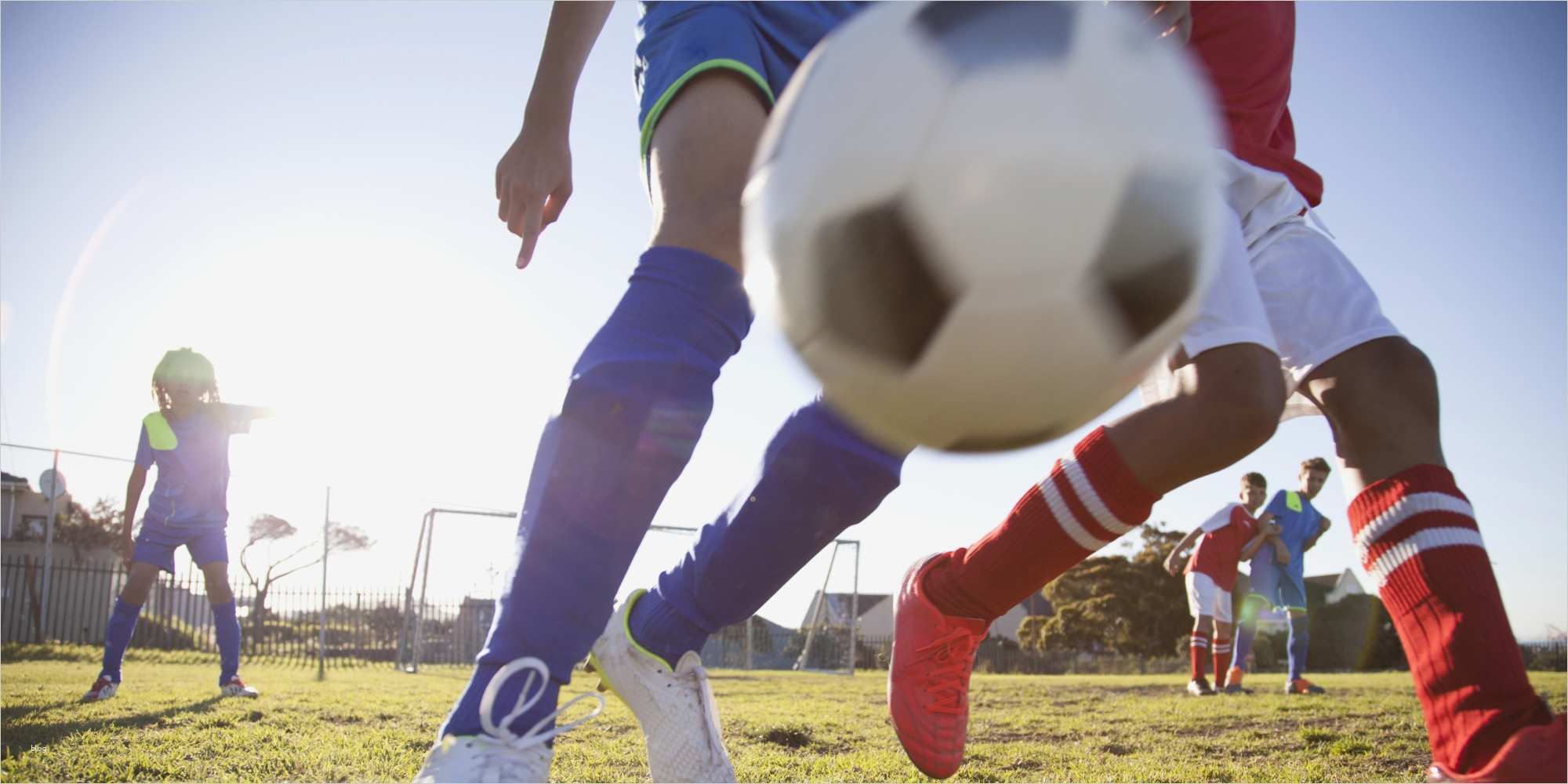 Sky Kündigen Wegen Bundesliga Vorlage Bewundernswert Zwei Deutsche Wegen Streaming Von Bundesliga Spielen