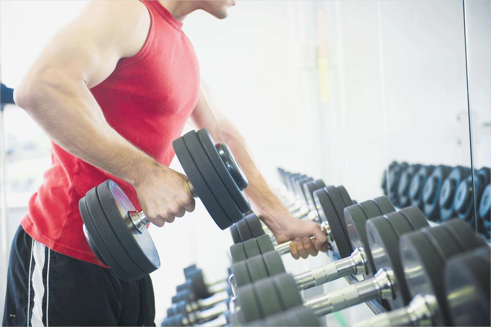 Sonderkündigung Vorlage O2 Luxus Groß Fitnessstudio Vertragsvorlage Ideen Entry Level