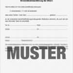 Sorgerechtsverfügung Alleinerziehende Vorlage Kostenlos Hübsch Gemütlich Ein Elternteil Reiseeinwilligungserklärung