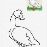 Speckstein Vorlagen Kostenlos Beste 53 Besten Windowcolor Vorlagen Bilder Auf Pinterest