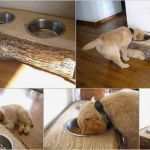 Sperrholz Vorlagen Weihnachten Neu Basteln Mit Naturmaterialien 42 Coole Bastelideen