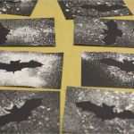 Spritztechnik Vorlagen Schönste Eulen Vorlage Nehmen Oder Elmar Und Rundherum Bunt