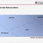 Stakeholder Map Vorlage Luxus Stakeholder Analyse
