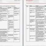 Stakeholderanalyse Vorlage Angenehm Initiieren Vorbereiten