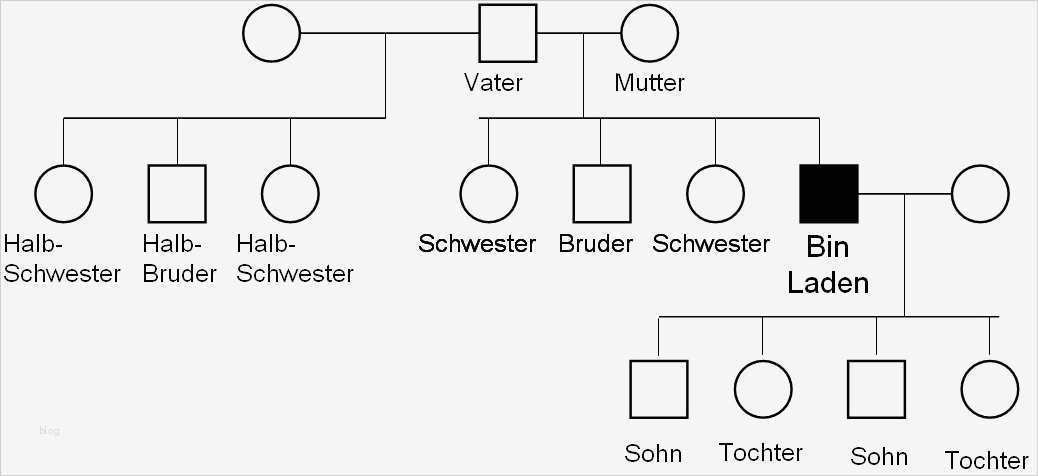 Stammbaum Erstellen Vorlage Beste Pin Stammbaum Ahnentafel Erstellen Handgemalt Und Als