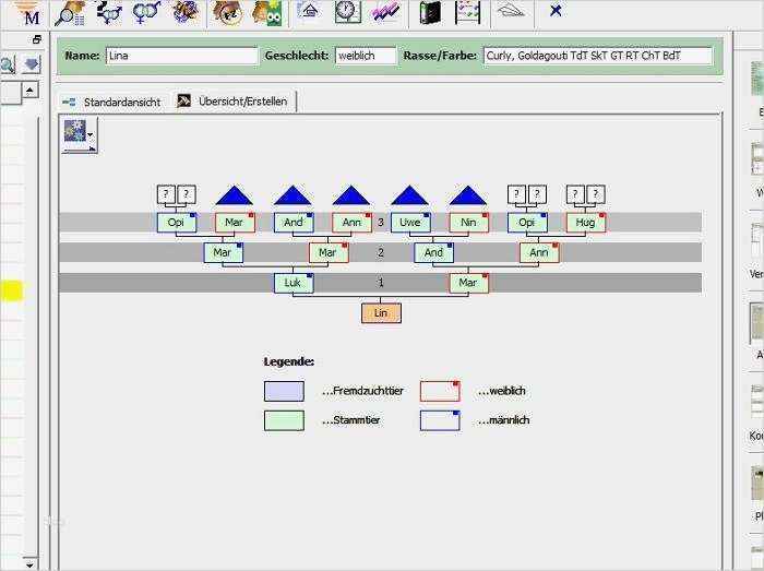 Stammbaum Erstellen Vorlage Bewundernswert Stammbaum Erstellen