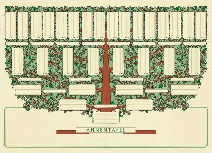 Stammbaum Vorlage 5 Generationen Erstaunlich Rnk Schmuck Ahnentafel Günstig Kaufen