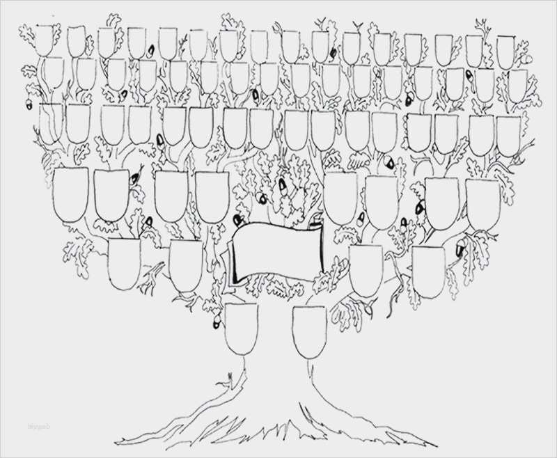 Stammbaum Vorlage 5 Generationen Inspiration Fantastisch Bild Stammbaum Vorlage Fotos