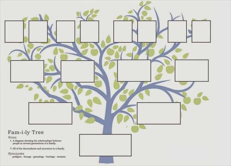 Stammbaum Vorlage 5 Generationen Neu Fantastisch Bild Stammbaum Vorlage Fotos