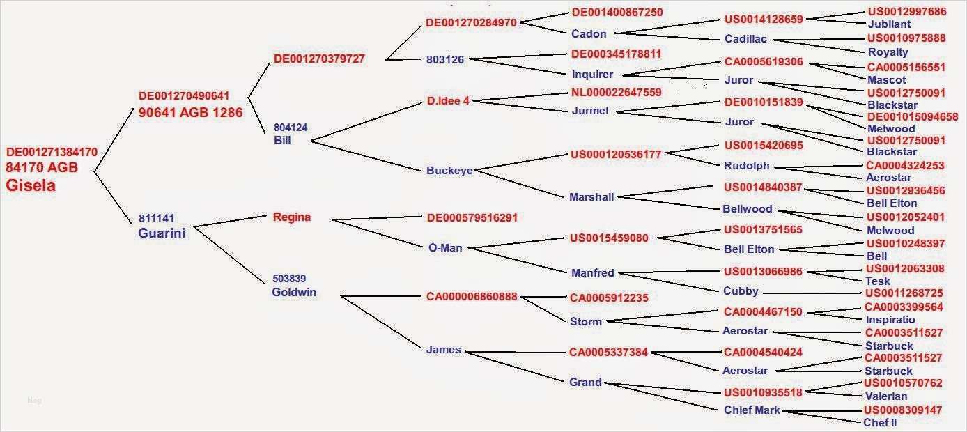 Stammbaum Vorlage 8 Generationen Großartig Benjamins Kuhblog Februar 2015
