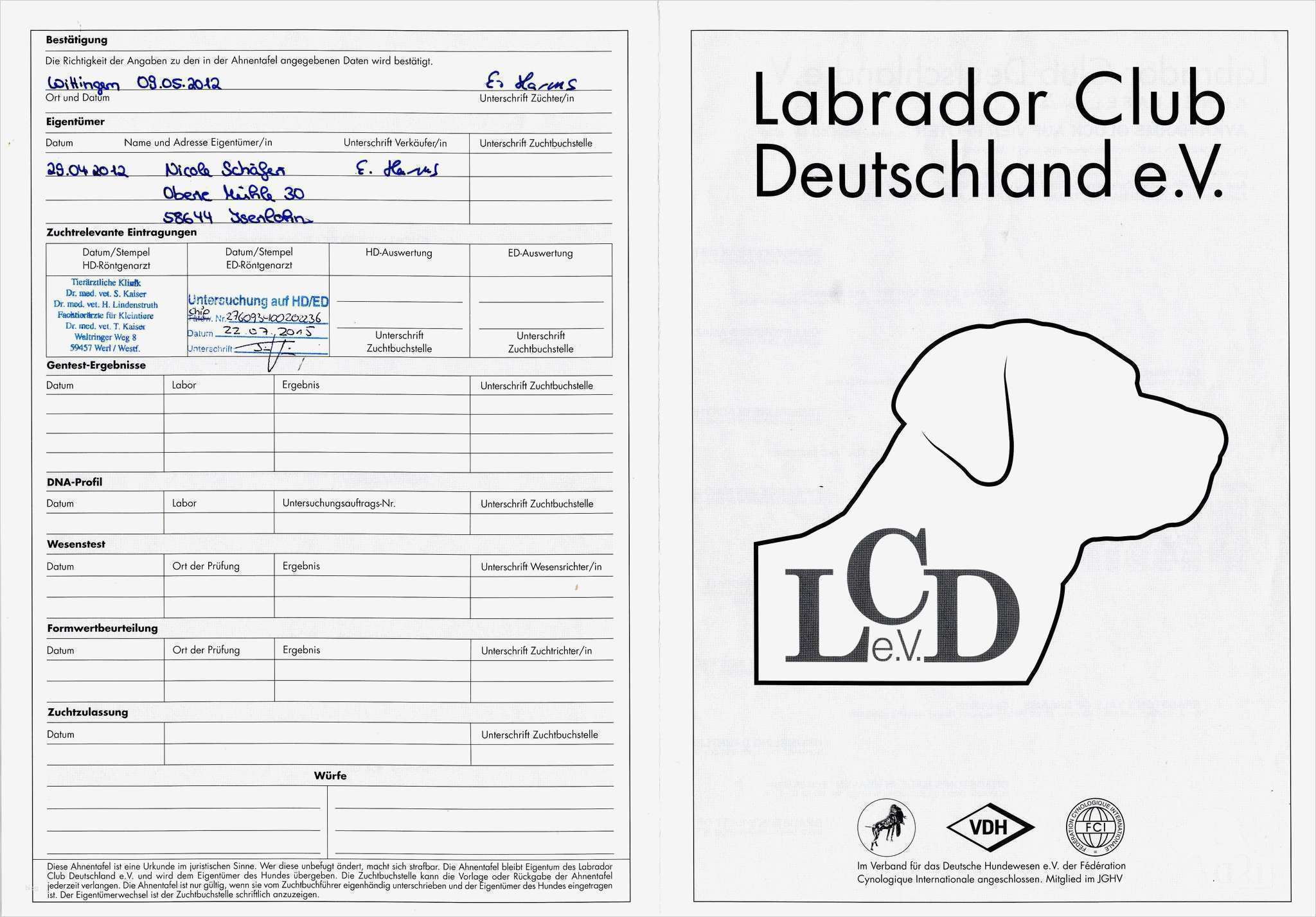 Stammbaum Vorlage Download Fabelhaft Großzügig Leicht Stammbaum Arbeitsblatt Bilder Mathe