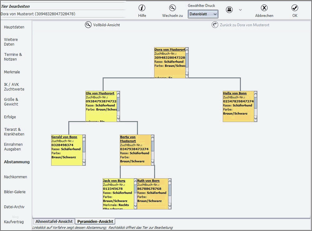Stammbaum Vorlage Download Genial Hundezucht software Stammbaum Zucht Hundescout