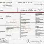 Stammbaum Vorlage Download Luxus Großartig Adoption Stammbaum Vorlage Galerie Beispiel