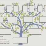 Stammbaum Vorlage Elegant Gemütlich Family Tree Diagrammvorlage Zeitgenössisch