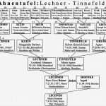 Stammbaum Vorlage Erstaunlich Ziemlich Stammbaum Stammbaum Vorlage Galerie Entry Level