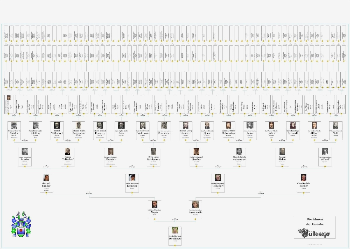 Stammbaum Vorlage Excel Angenehm Familienbande Home