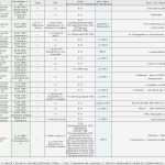 Stammbaum Vorlage Excel Fabelhaft Ziemlich Stammbaum Stammbaum Vorlage Galerie Entry Level