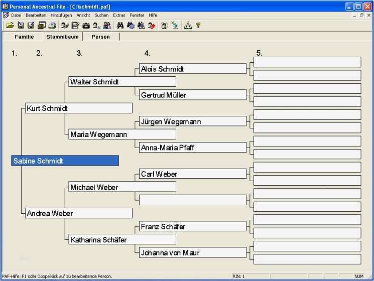 Stammbaum Vorlage Excel Inspiration Berühmt Kostenlose Stammbaum Vorlage Fotos Entry Level
