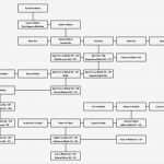 Stammbaum Vorlage Inspiration Niedlich Einfache Stammbaum Vorlage Galerie Entry Level
