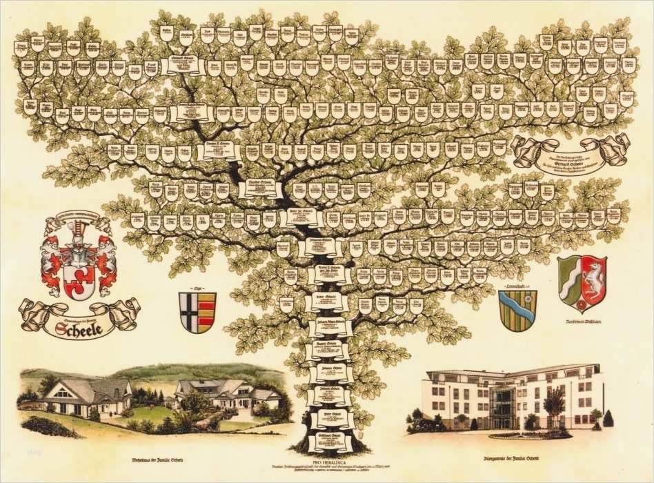 Stammbaum Vorlage Kostenlos Angenehm Stammbaum Erstellen Lassen Ahnenforschung Pro Heraldica