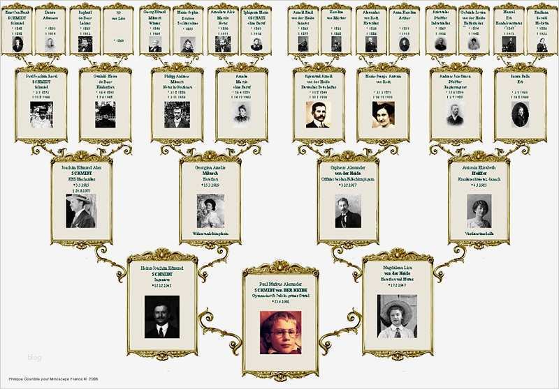 Stammbaum Vorlage Kostenlos Best Of Stammbaum 5 0 Amazon software