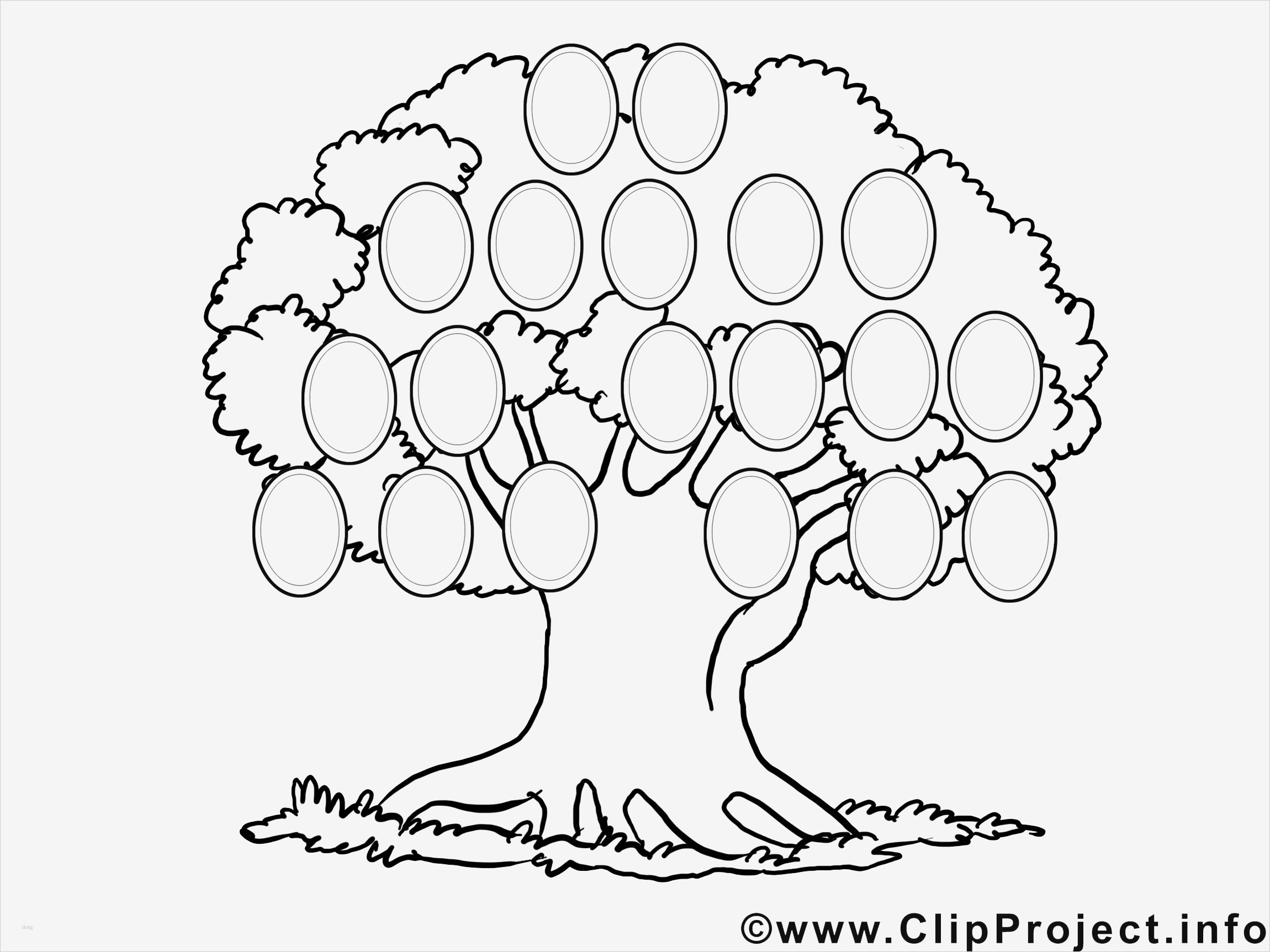 Stammbaum Vorlage Kostenlos Cool Stammbaum Vorlage Kostenlos