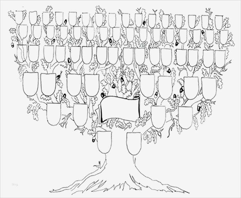 Stammbaum Vorlage Leer Bewundernswert Wie Sieht Deine Abstammungs theorie Aus